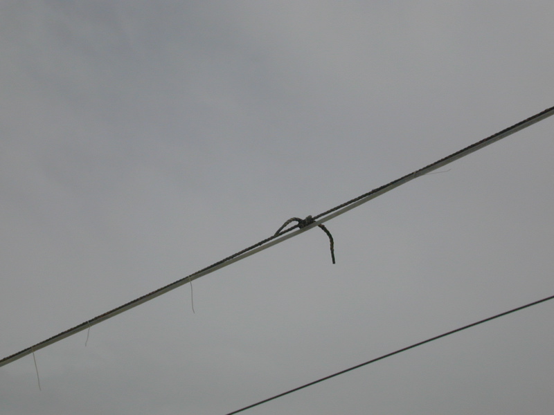 DSCN0154.JPG