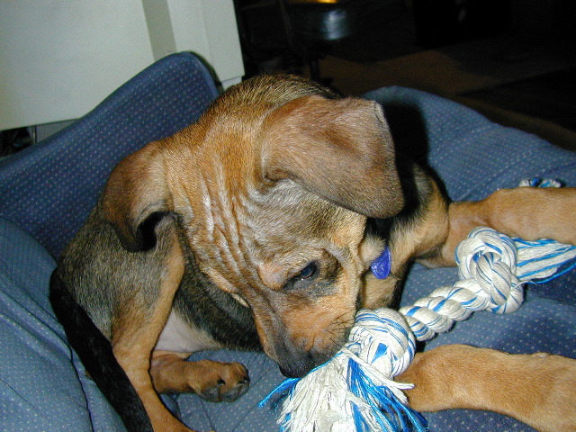 DSCN0040.JPG