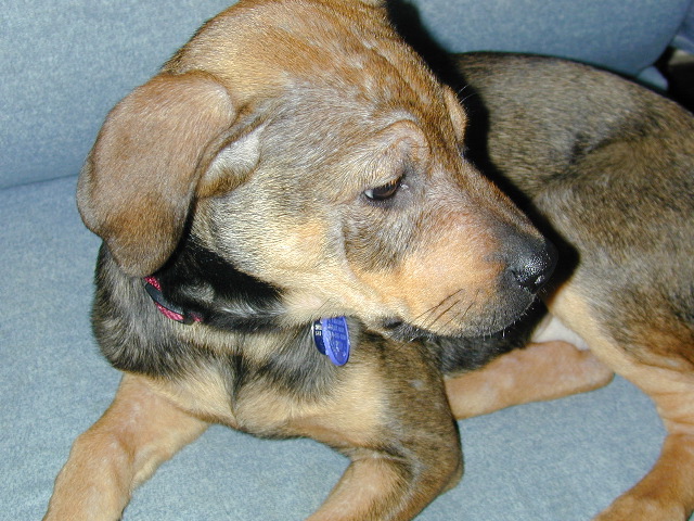 DSCN0048.JPG