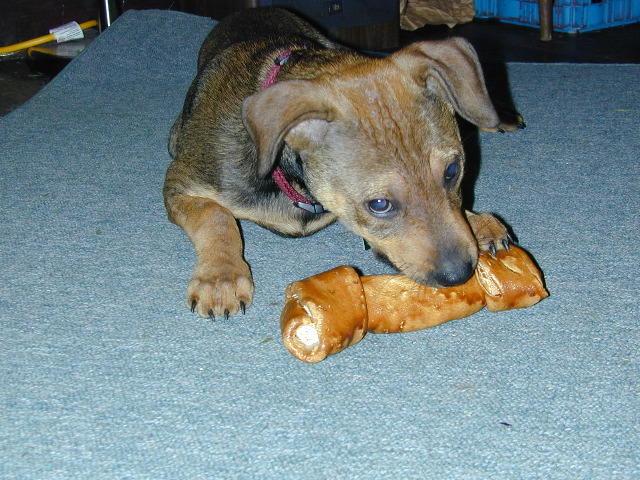 DSCN0065.JPG
